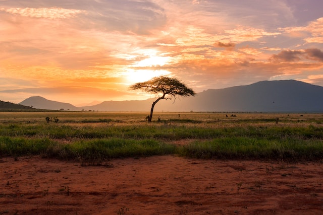 best-places-to-visit-in-africa-kenya