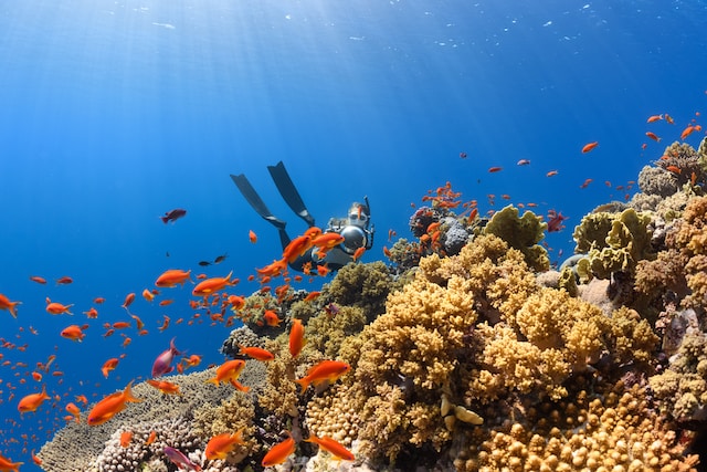 trips-of-a-lifetime-great-barrier-reef
