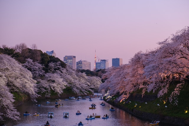 tokyo-japan-bucket-list-cities