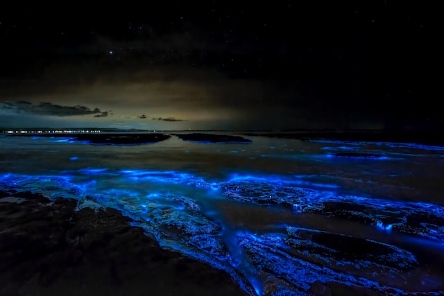 bioluminescence-jervis-bay-strangest-natural-wonders-of-australia